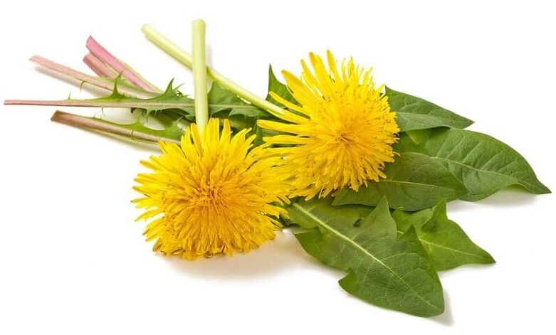 NEOflorax contiene dente di leone