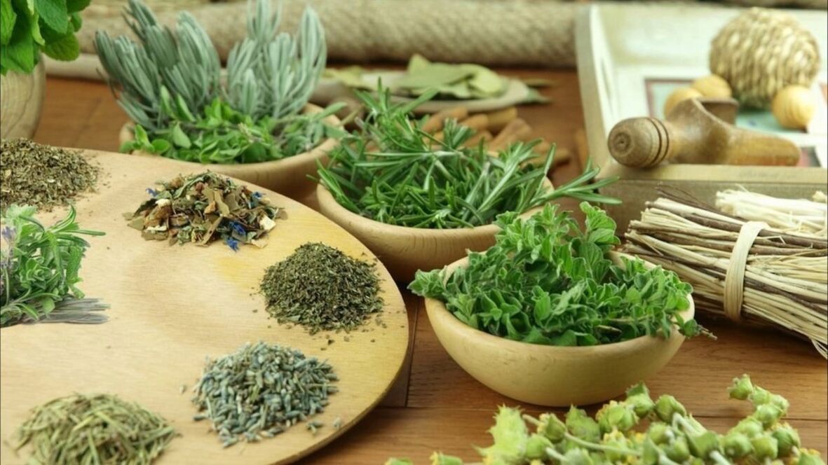 erbe per rimuovere i parassiti dal corpo