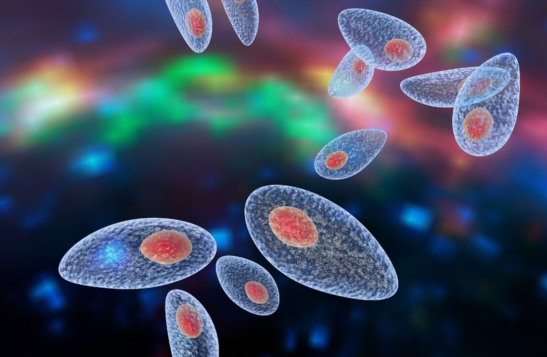 agente eziologico della toxoplasmosi nel corpo