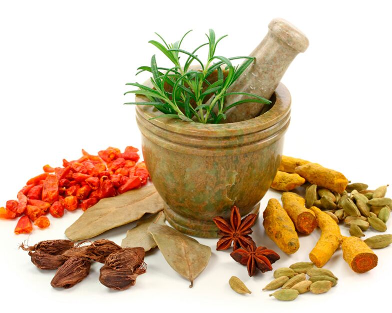 Materiali vegetali utilizzati per rimuovere i vermi